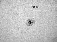 � M. Neuerer; Sonne am 25.08.2001 - Die Aufnahmen sind mit einem 180er TMB Apo (abgeblendet auf 140 mm) gemacht. Als Kamera diente eine Nikon Coolpix 880 Digitalkamera mit 6 mm LV Okular.