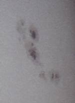 � M. Wagner; Sonnenfleck, 1.4.2001 riesig Ausschnitt