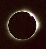 � Oliver Pollmann; Sofi vom 21.06.2001 in Lusaka (Airport/Sambia), Teleopjetiv 500 mm f/8, Belichtungszeit 1/2.000 s, Film: Fuji Superia 200 ASA